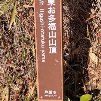 東おたふく山到達。