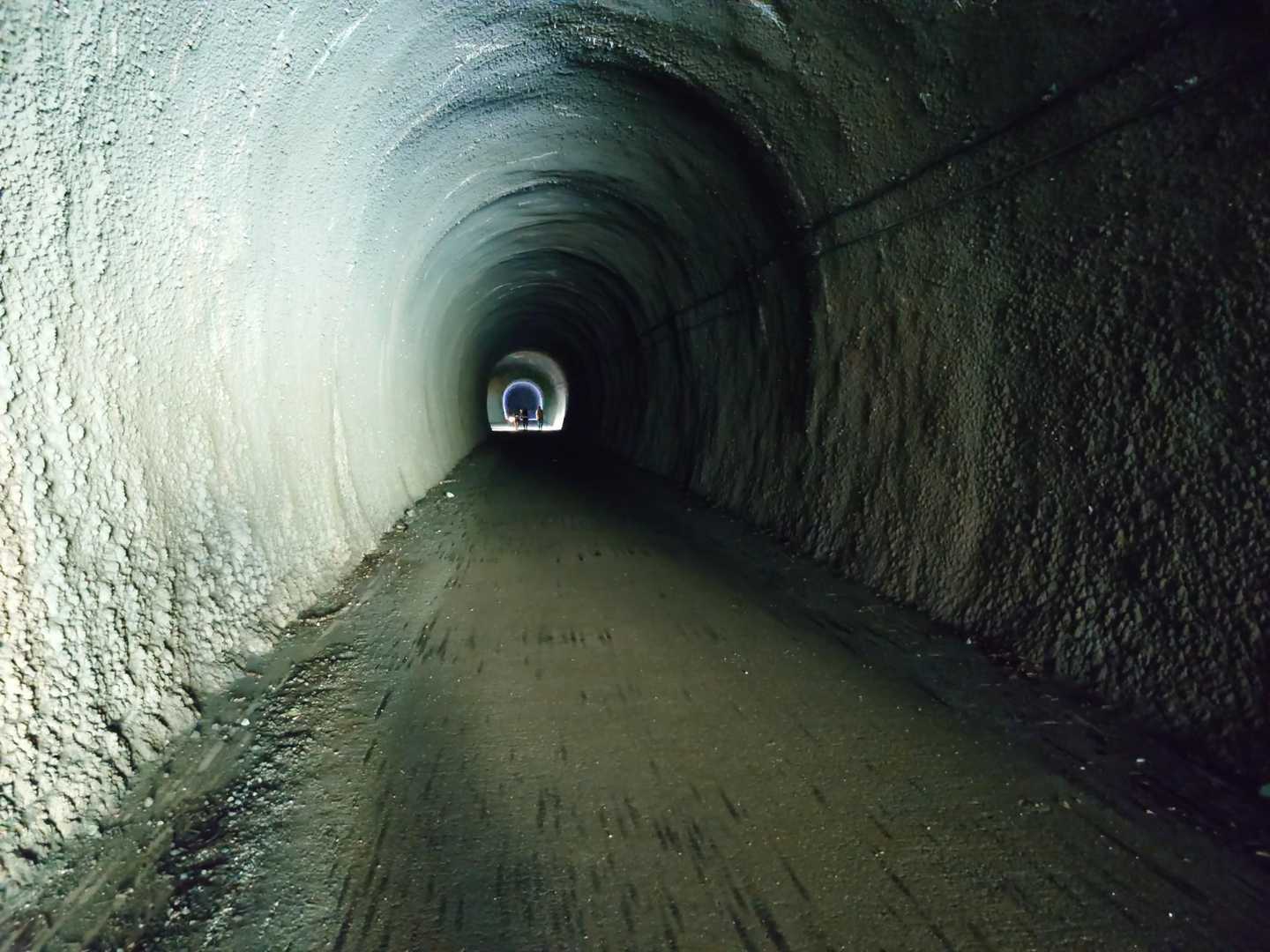 玄倉バス停-ゲート-弁当沢ノ頭-不動ノ峰-丹沢山-竜ヶ馬場 縦走コースの写真