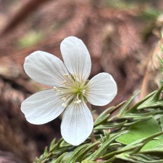あなたは誰ですか？