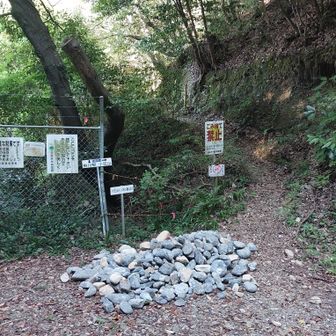 40分ほど歩いて、トンネルを抜けると登山口。登ればすぐトンネルの上あたりで分岐します。