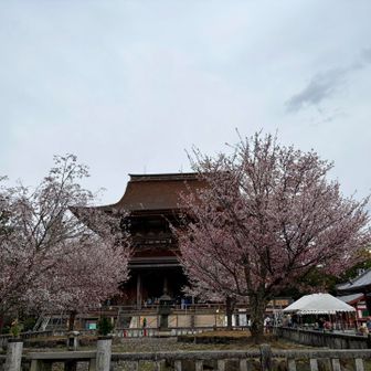 金峯山寺に寄ります