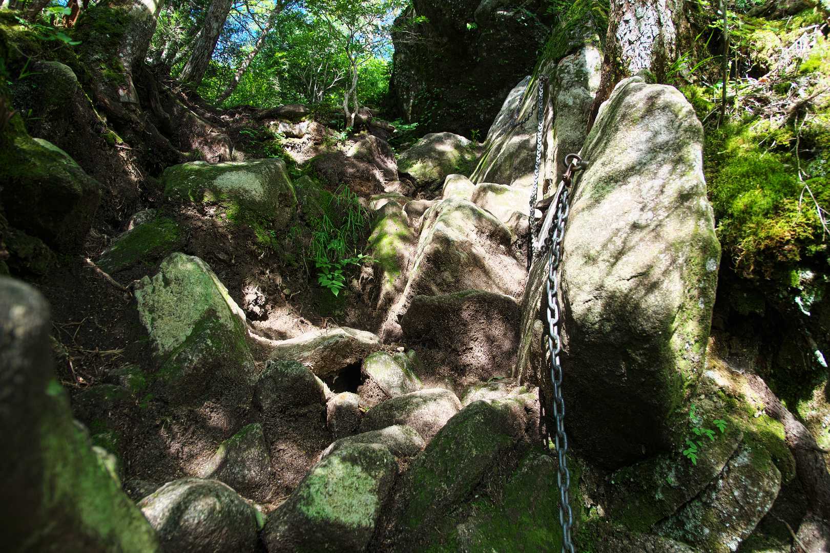 鎖。
まぁ黒戸尾根ではこんなの鎖の赤ちゃんみたいなもんですね。