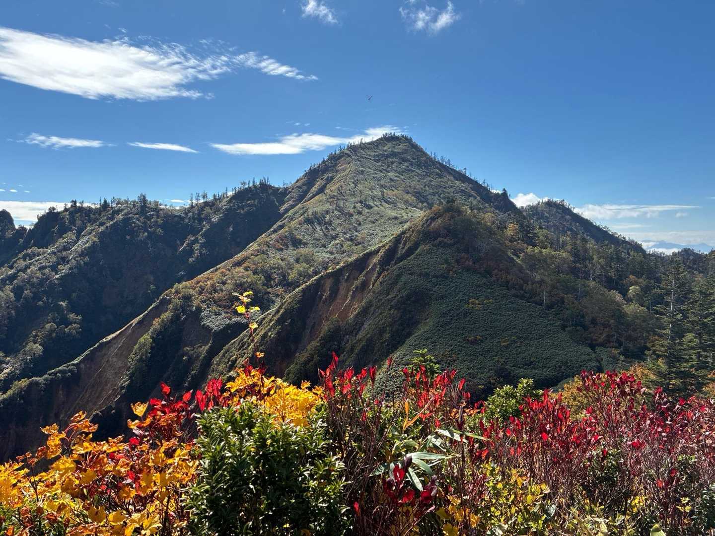 【縦走】鳥甲山（ムジナ平・屋敷）の写真