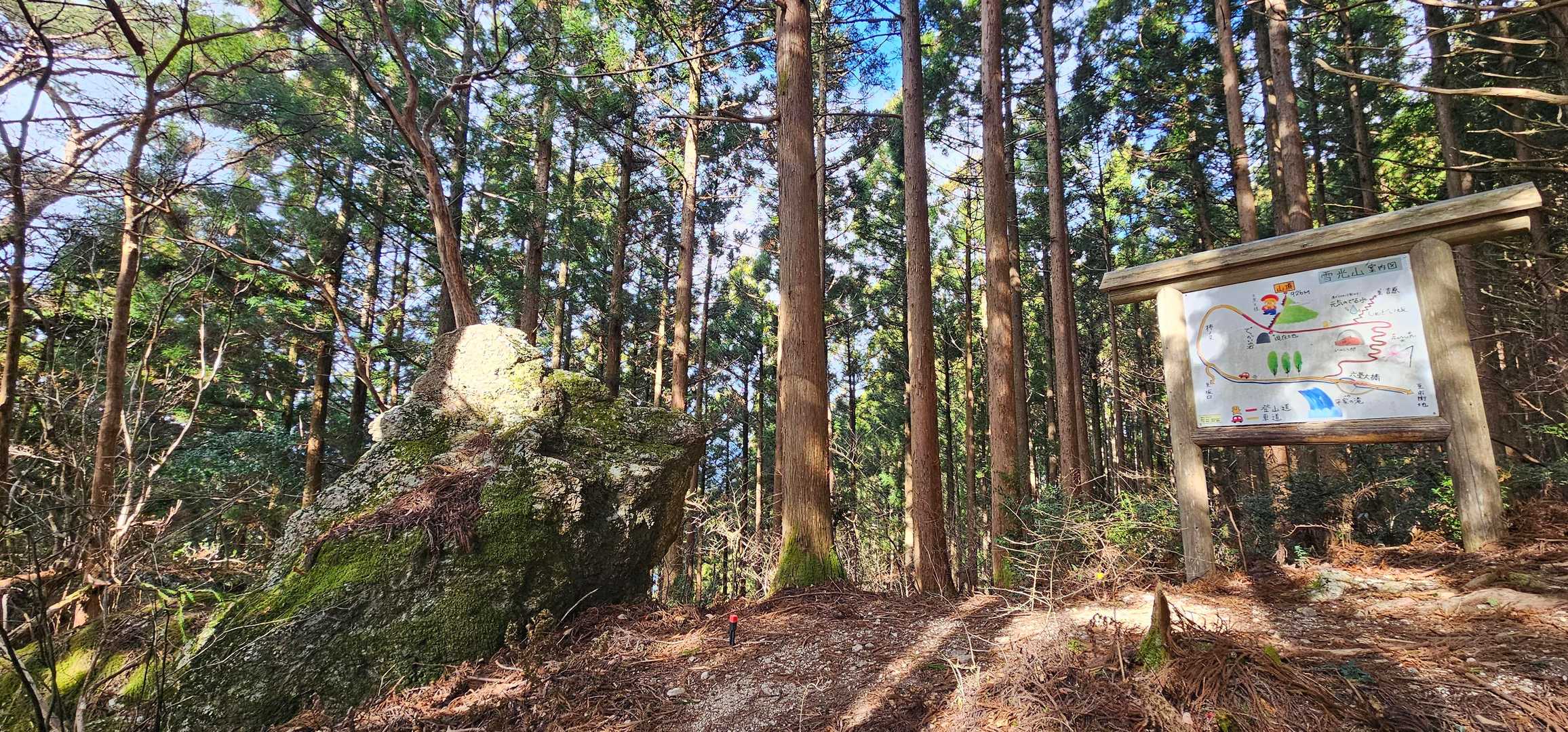 「でっかい岩」のターン
岩を巻く道があり、柿ノ又林道から最短でアクセス可能（YAMAPにはルートなし）