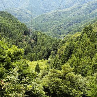 鉄塔の有る場所に到着し向こうにも見える大きな鉄塔を撮る🗼