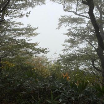 弟見山も全く見えません。ちょっと遅い時間ですが、行ってみます。