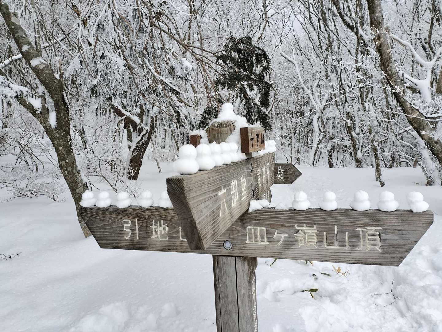 湧水登山口-水の元登山口-風穴登山口-皿ヶ嶺 往復コースの写真