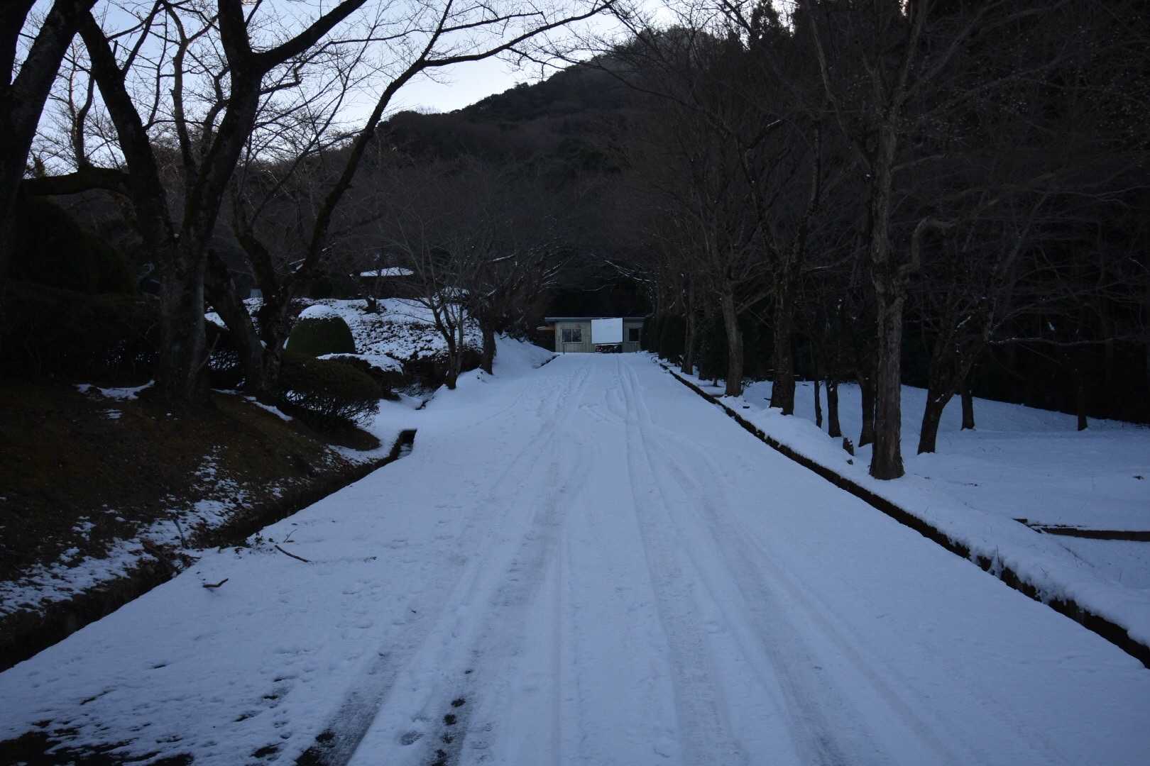 最後の坂はこんな感じです