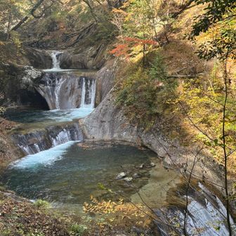 上流の方も良き良き