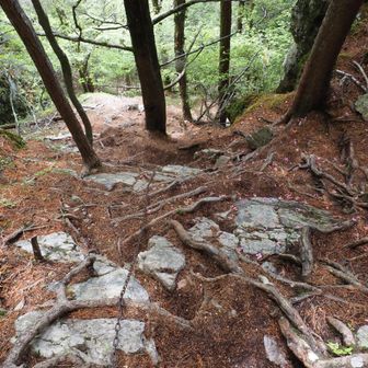 栗生コースはクサリがあったりなかなか急