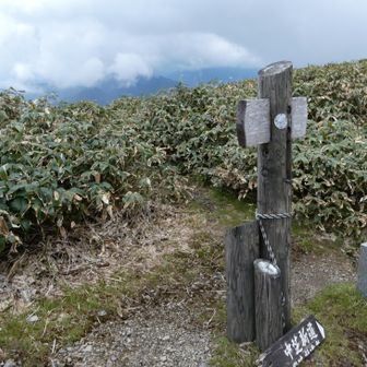 一ノ倉岳
一先ずお疲れ様です。
さて、プラン的に土樽へ降りるか、
引き返すか考えていましたが、
リミットより余裕あり、体力的にも調子良いので先に進みます