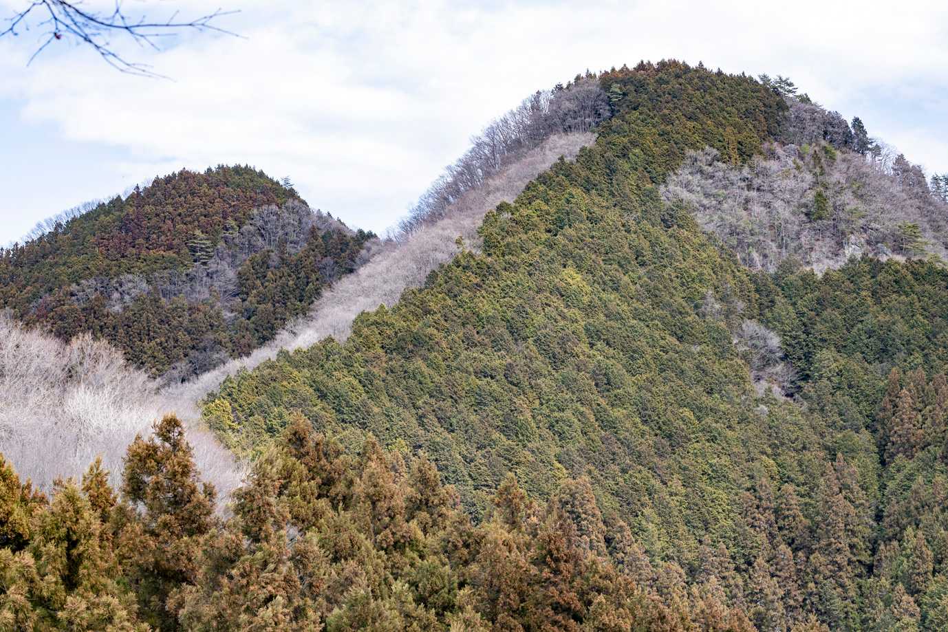 きれいに並んだ双耳峰