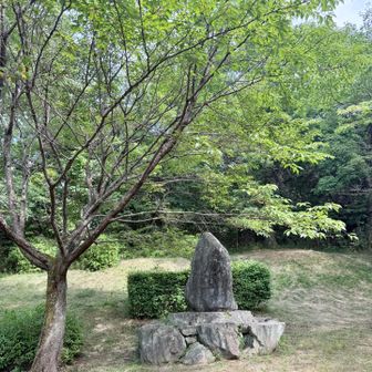芝生広場へ戻って来ました😆
