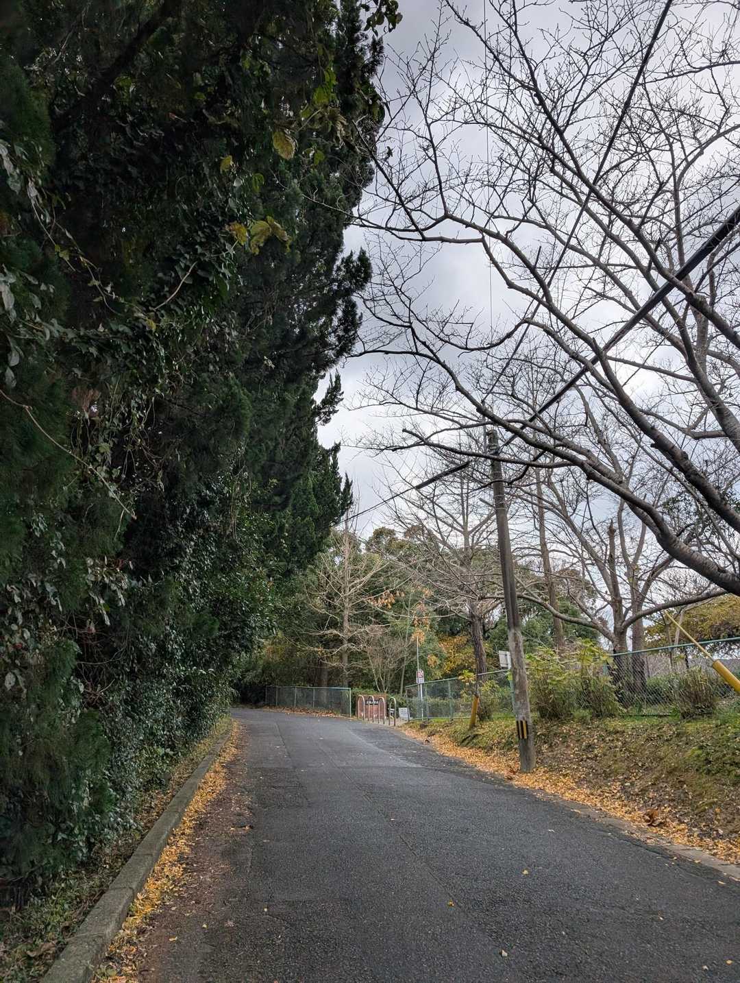 あられが降ってきました😅