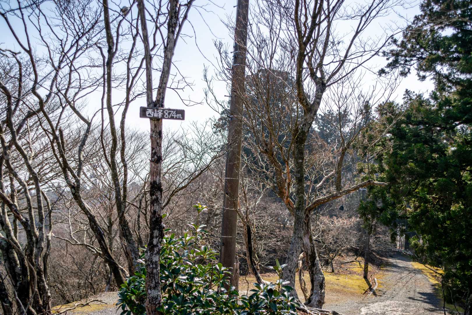 坂本棚田バス停-野登山 往復コースの写真