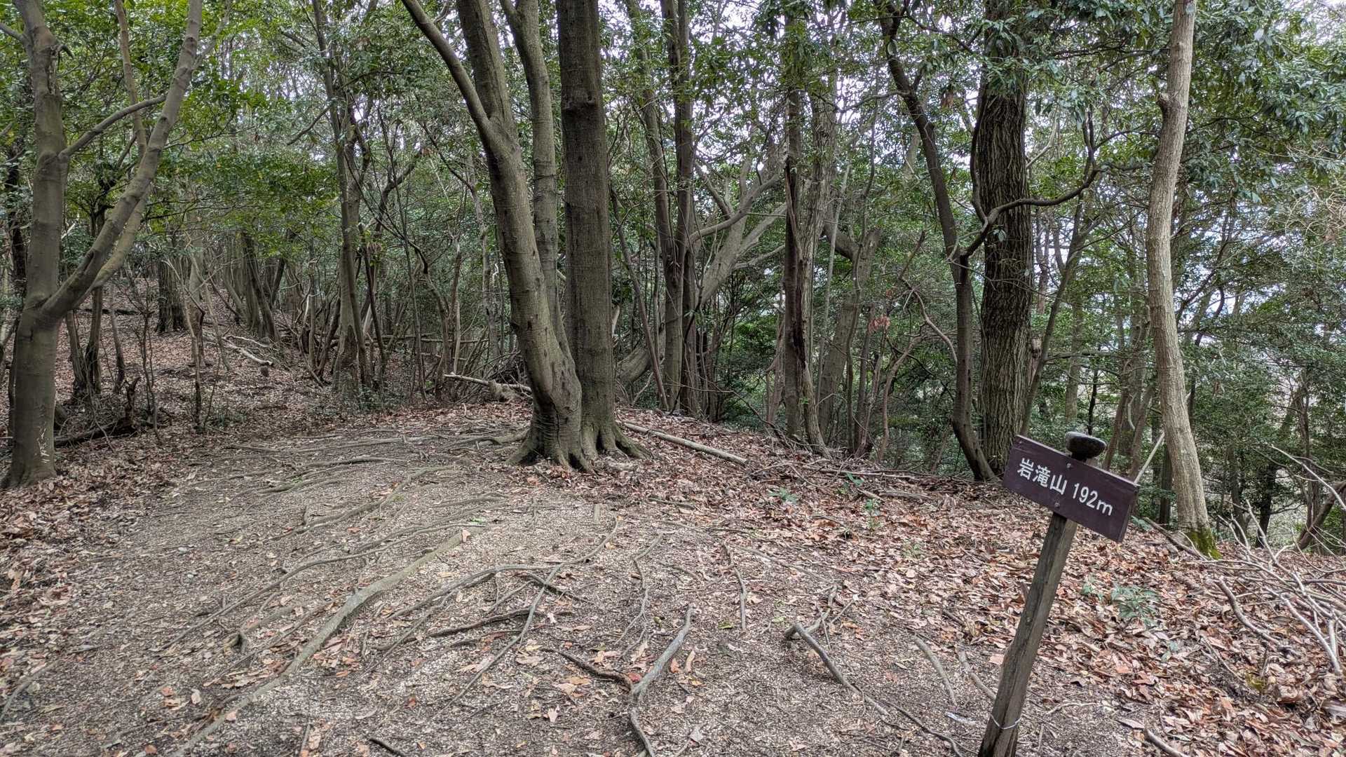 岩滝山192m到着✨一瞬山頂と気付かず通り過ぎそうに😰眺望ゼロ（笑）