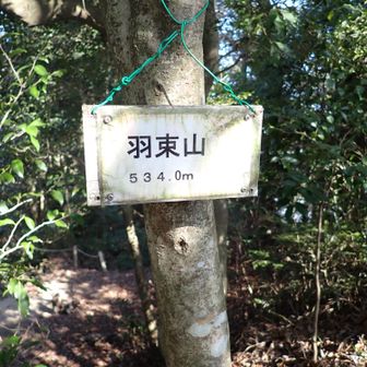 標高524ｍ　羽束山