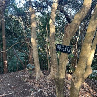 8座目！なんだか願いが叶いそうとのことで…