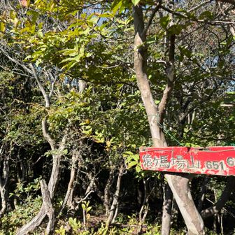 グレーピークの猿ヶ馬場山🐒⛰️

プレートわかりにくかったけど、モノレールの近くにありました🙂