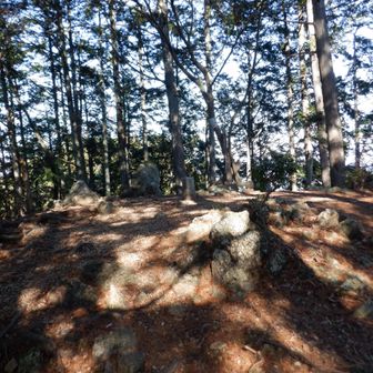 越上山。山頂にあるのは三等三角点越上(標高m566.28)。山頂手前に岩があり、岩を通る時ちょっと怖かった。山頂付近からの景色はよかっやです。