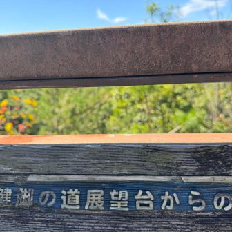 健脚の道なの❓