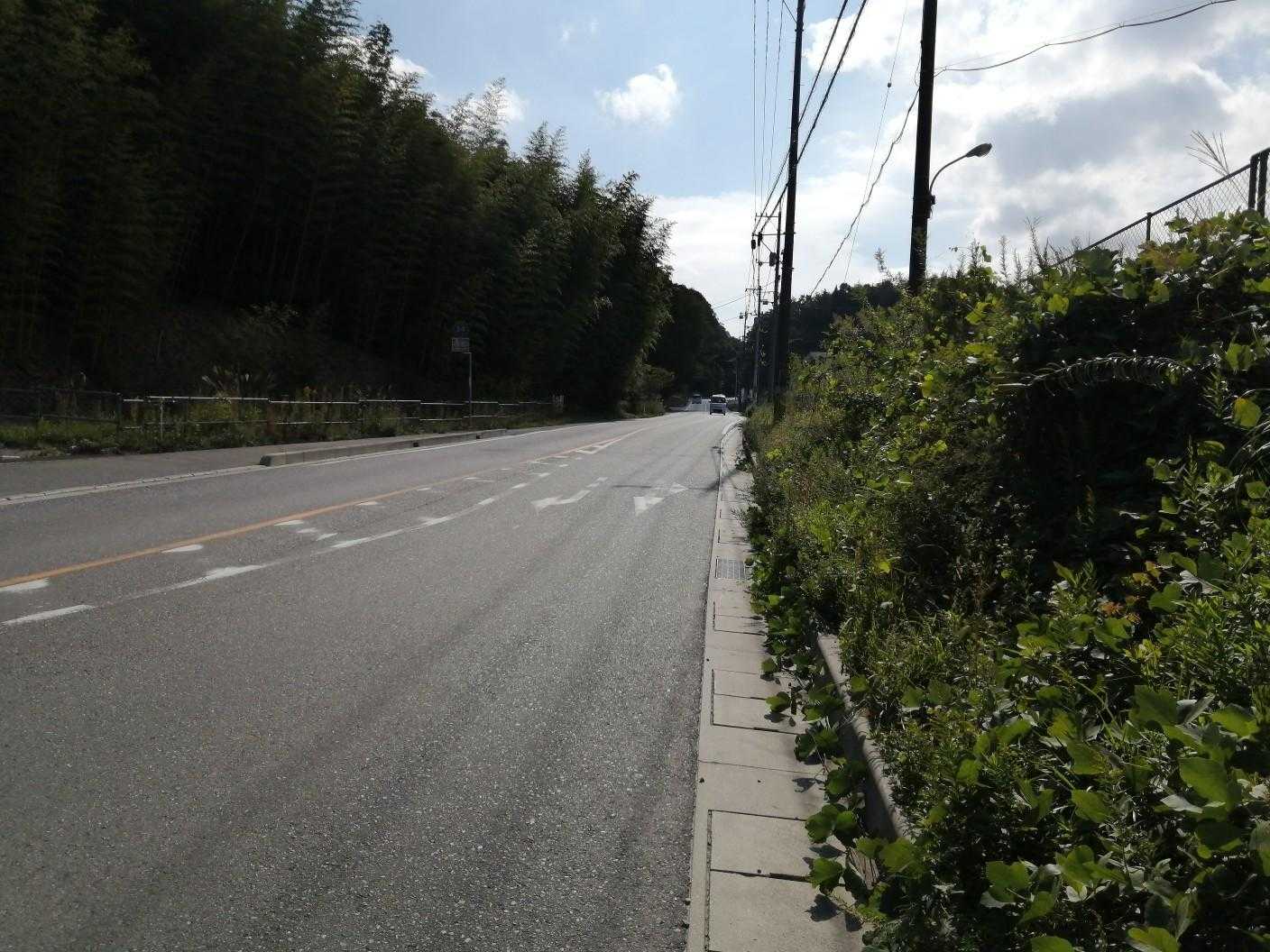 車道😱