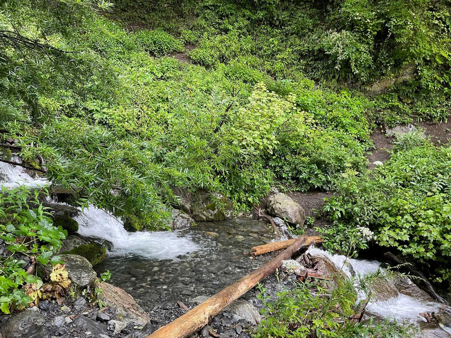 下降点-小屋間の渡渉ポイント
昨日から続く雨で増水が気になったけど全く問題なかった。