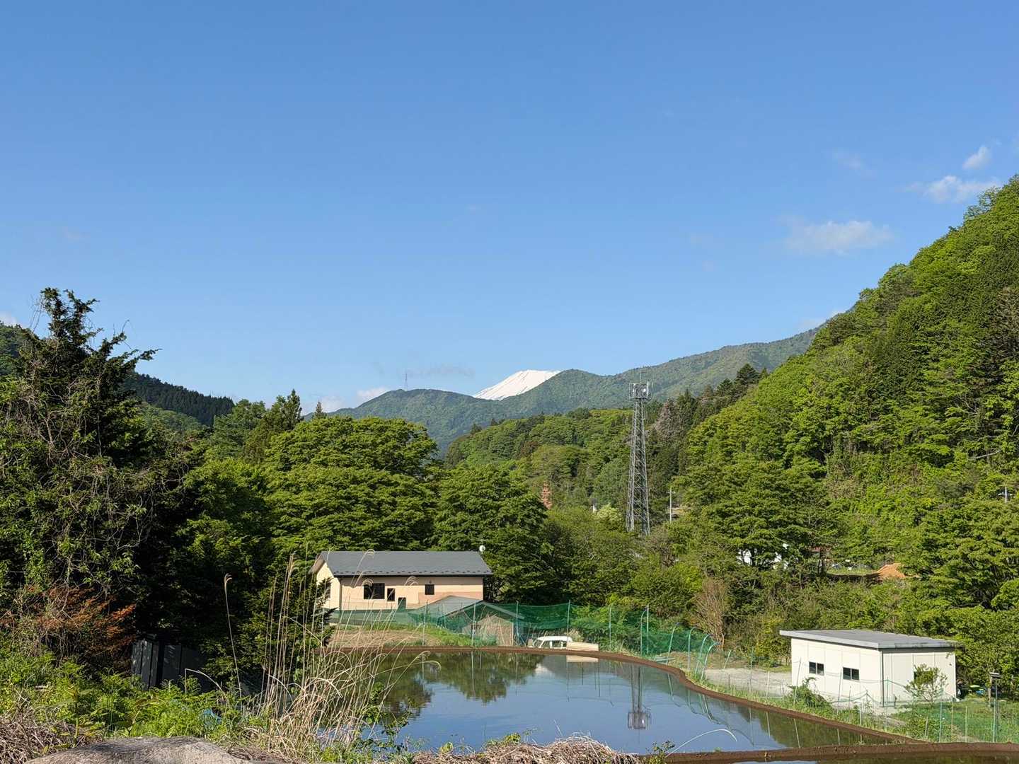 富士山の頭が綺麗に見えました