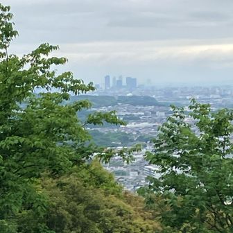 名古屋ビル群！