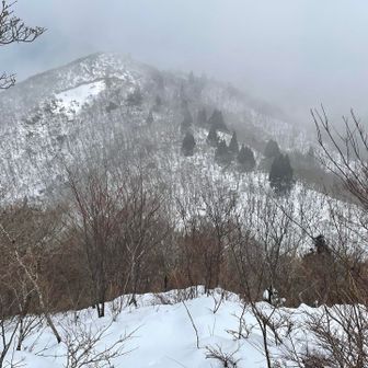 御殿山より。武奈ブルーに出会えるかな‼️