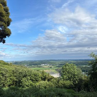 太平山の展望スポット！都会のビル群も見えました！