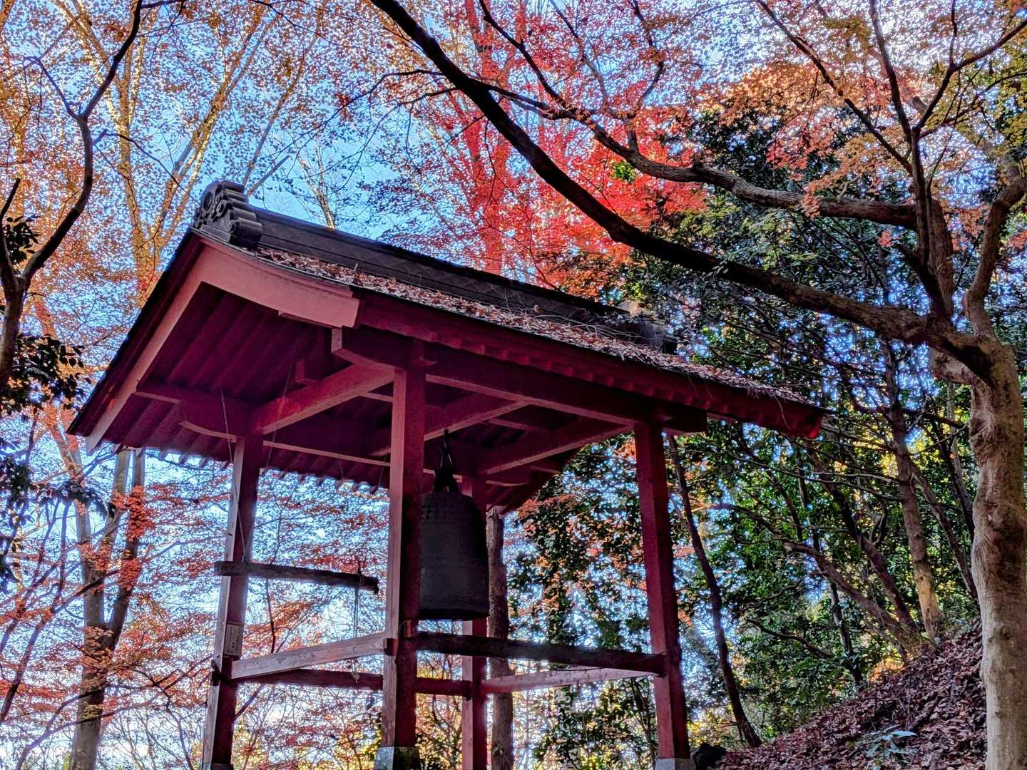 鐘楼🔔＆🍁