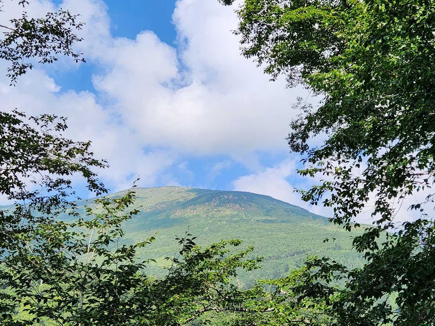 鳩待峠-横田代-中原山-アヤメ平 周回コースの写真