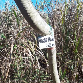 姫御前山
登山道