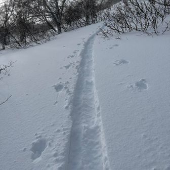 スキー場コースを1本滑ってからまたリフト乗ってスタート！先行者1名。スキーのトレースにまじ感謝🙏