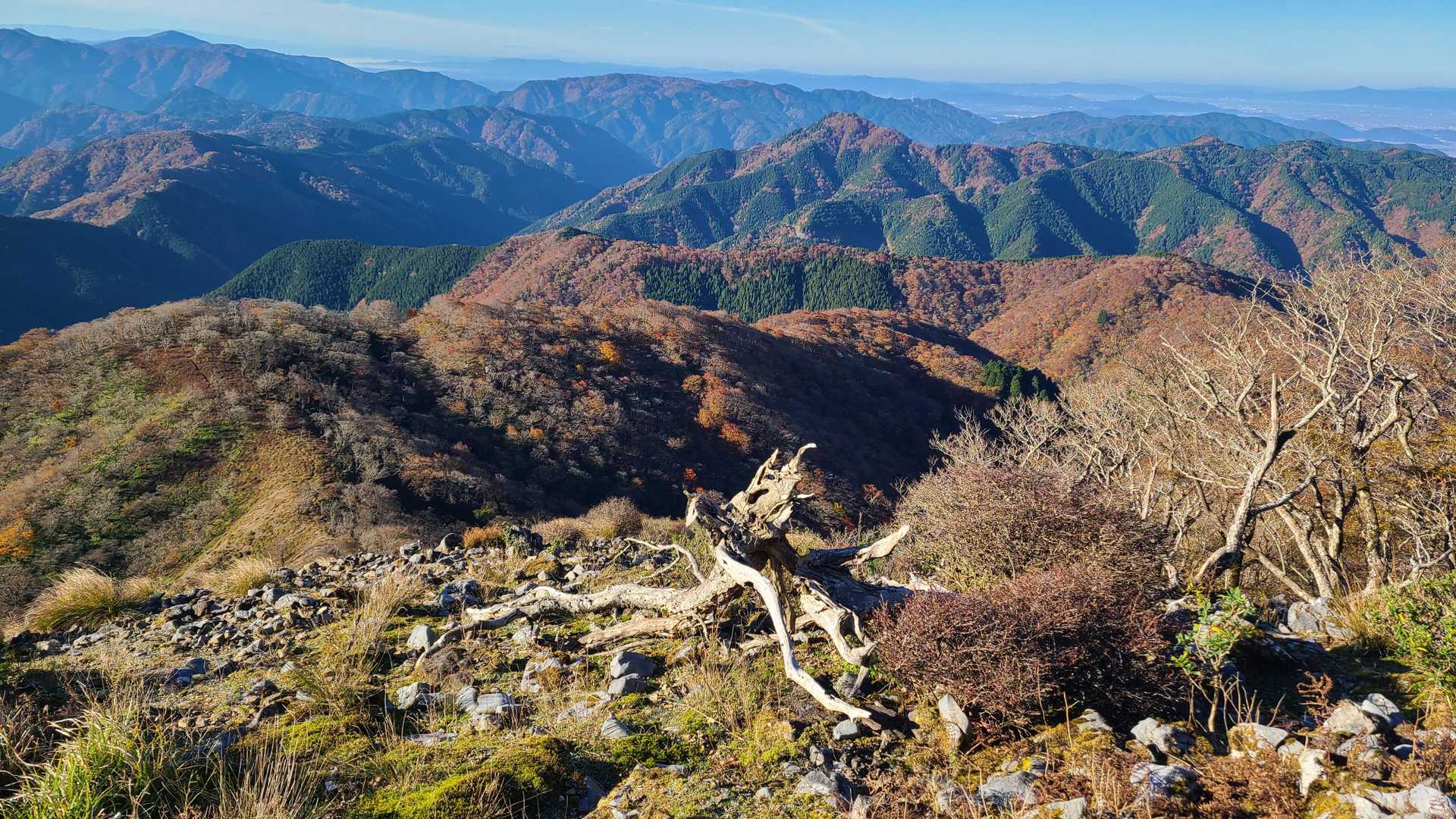 小又谷登山口-T字尾根登山口-天狗鼻-御池岳-奥の平-東ボ 周回コースの写真