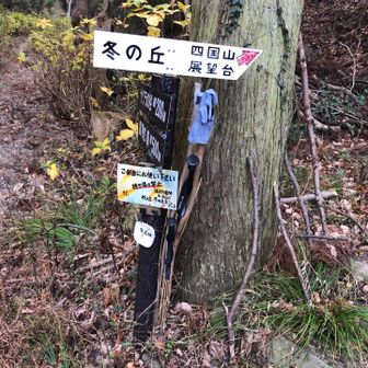 車道まで帰ってきました。