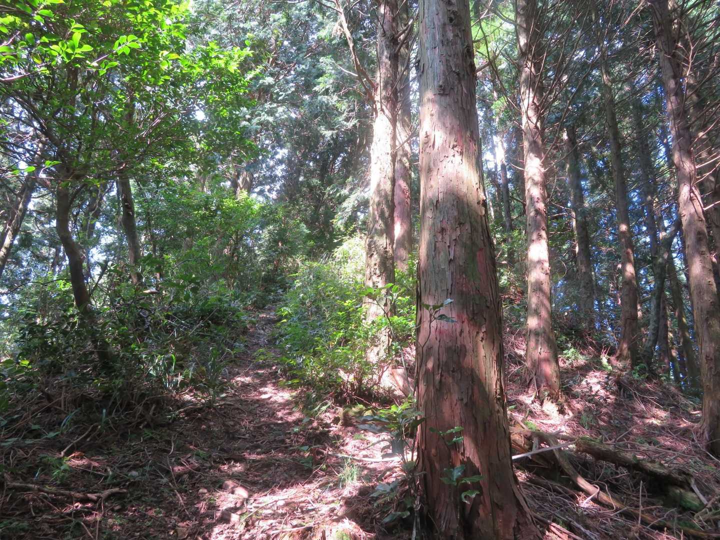 発心山登山口-発心山-白山-石仏 周回コースの写真