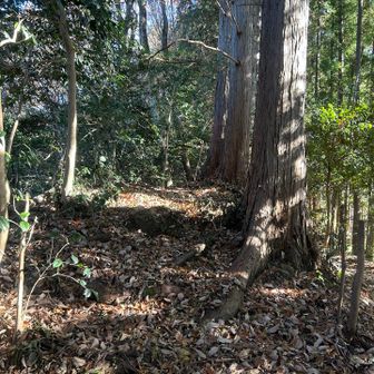 やっぱり山はいいね。