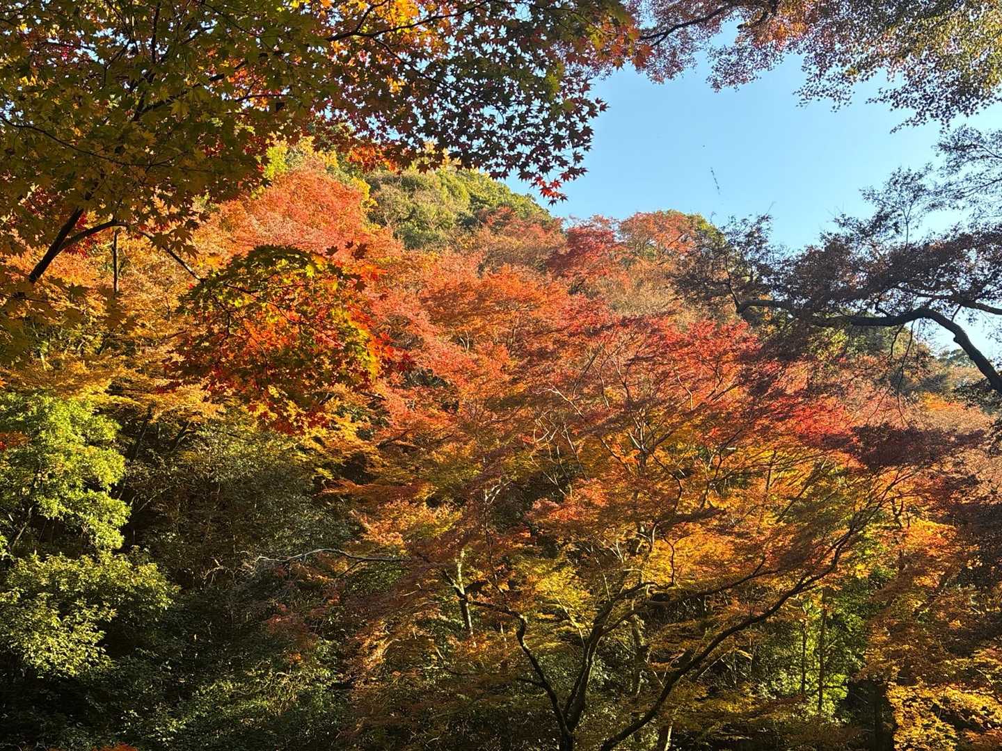 きれい✨