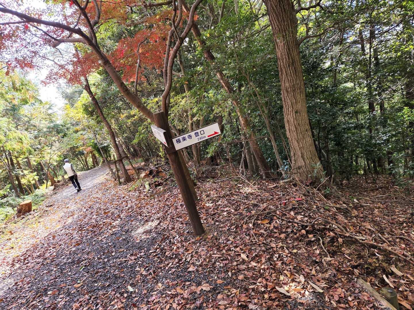 別の登山口もあります