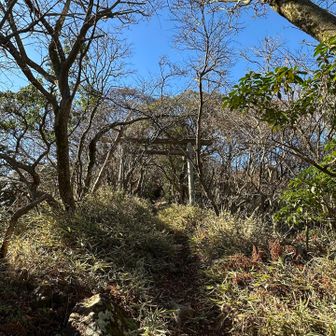 ⛩️あった‼️
🙏✨