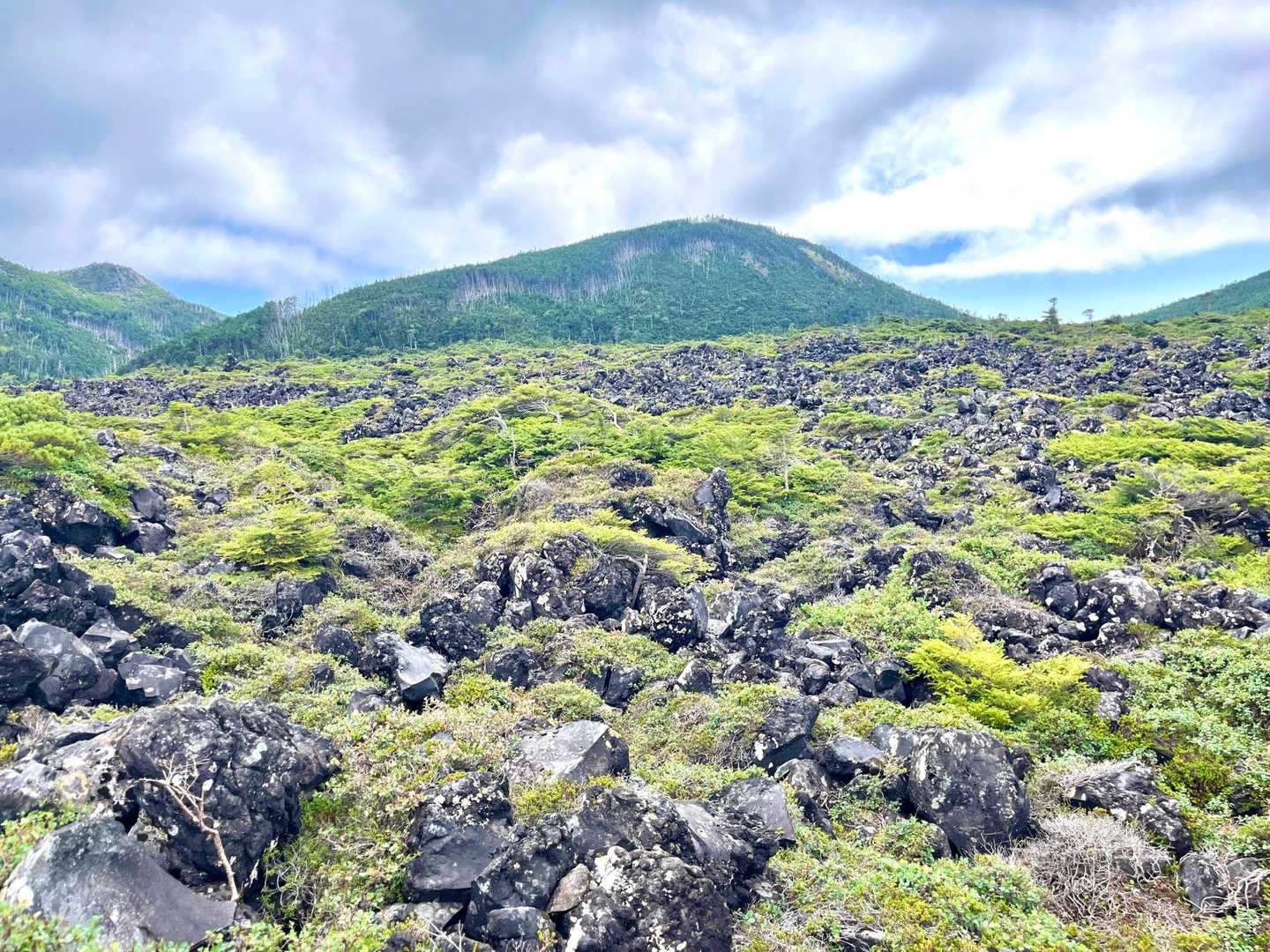 坪庭自然園
横岳の噴火で噴出した溶岩が固まってできた溶岩台地に自然にできた庭園