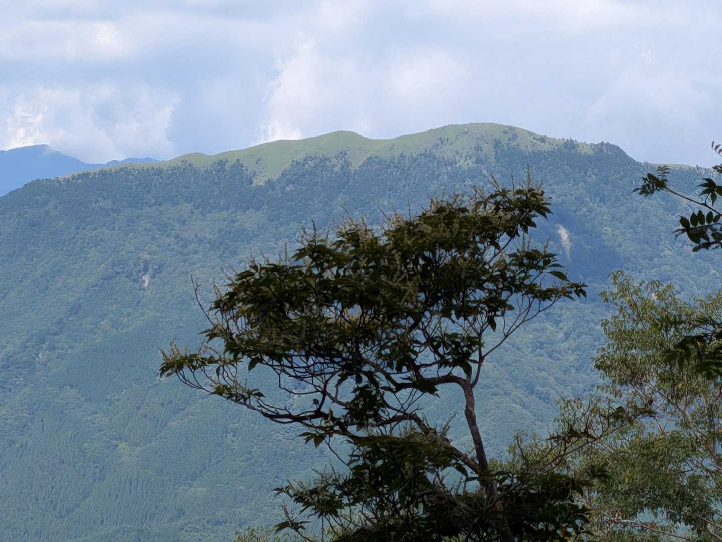 塔丸