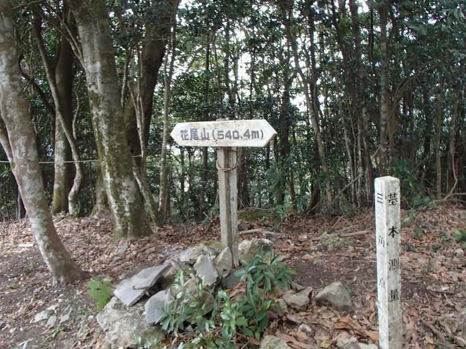 山頂とうちゃく♪