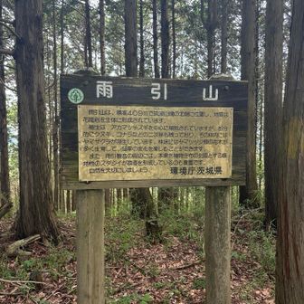 雨引山初登頂！岩瀬駅・御嶽山方面から縦走してきている人もいた