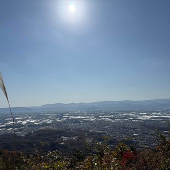 平山登山口から