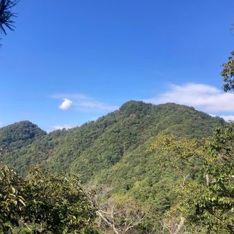 花咲山を振り返る
