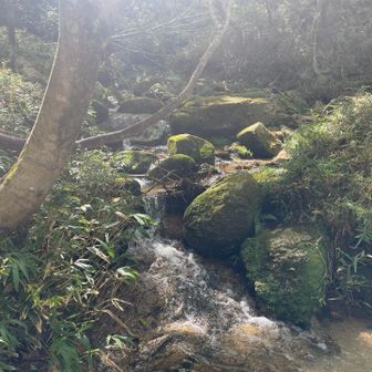 裏道で下山