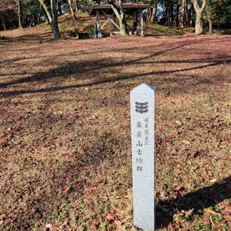 象鼻山の山頂付近には古墳が多数